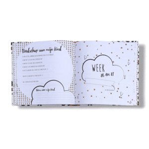 Mijn negen maanden invulboek binnenkant 9